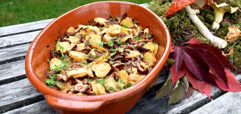 Finferli e patate al forno: Ovnsbakte kantareller